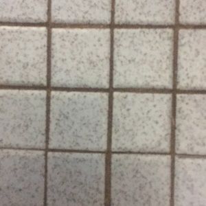 Meet your Posher, Samson